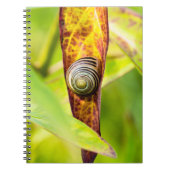 落ち着いた態度 ノートブック (正面)