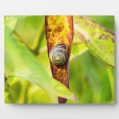 落ち着いた態度 フォトプラーク (正面)