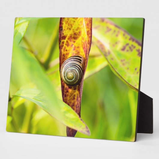 落ち着いた態度 フォトプラーク (側面)