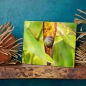 落ち着いた態度 フォトプラーク (側面)