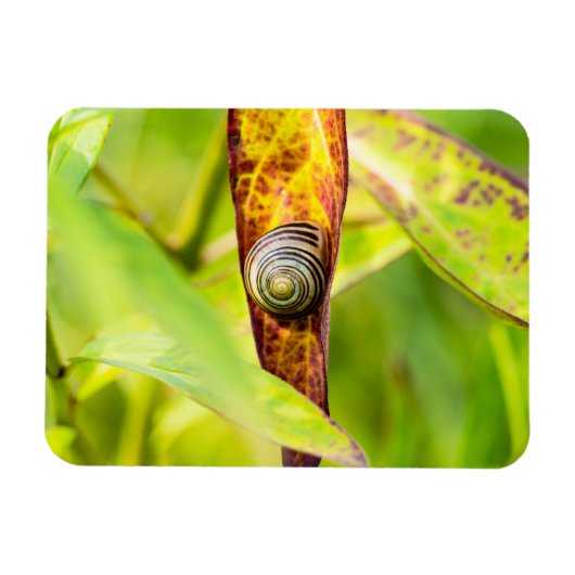 落ち着いた態度 マグネット (横)