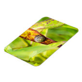 落ち着いた態度 マグネット (左側)