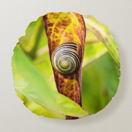 落ち着いた態度 ラウンドクッション (正面)