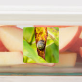 落ち着いた態度 ラベル (貼付)