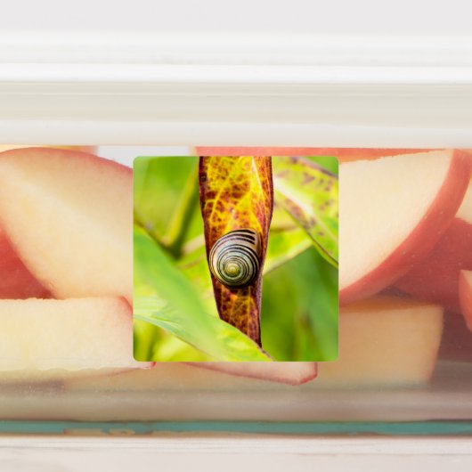 落ち着いた態度 ラベル (貼付)