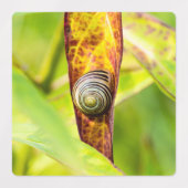 落ち着いた態度 ラベル (デザイン2)