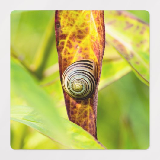 落ち着いた態度 ラベル (デザイン2)