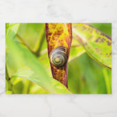 落ち着いた態度 リキュールボトルラベル (シングルラベル)