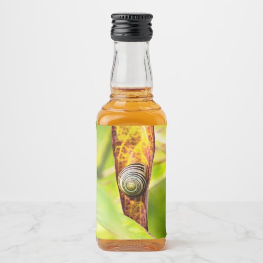 落ち着いた態度 リキュールボトルラベル (正面)