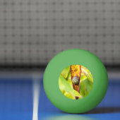 落ち着いた態度 卓球ボール (ネット)