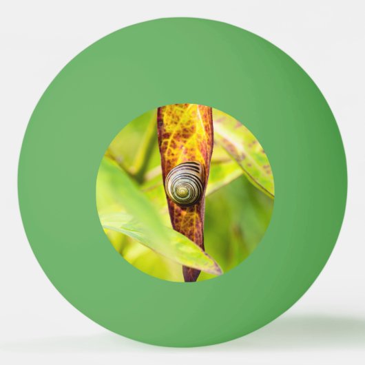 落ち着いた態度 卓球ボール (裏面)