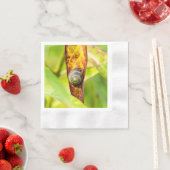 落ち着いた態度 縁ありカクテルナプキン (インサイチュ)