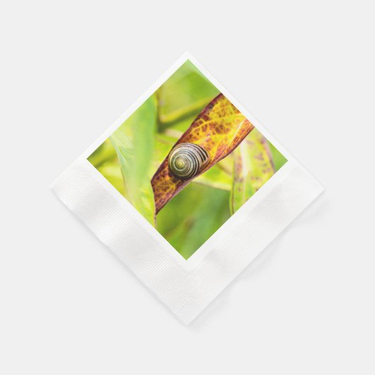 落ち着いた態度 縁ありカクテルナプキン (角)