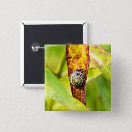 落ち着いた態度 缶バッジ (正面&裏面)