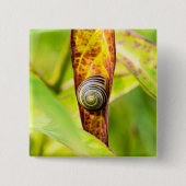 落ち着いた態度 缶バッジ (正面)