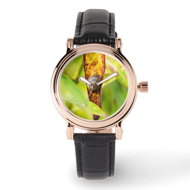 落ち着いた態度 腕時計 (正面)