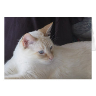 落ち着いた燃え差し