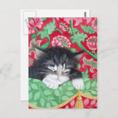 落ち着いた猫！ ポストカード (正面/裏面)