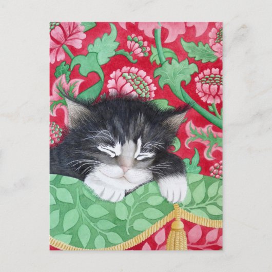 落ち着いた猫！ ポストカード (正面)