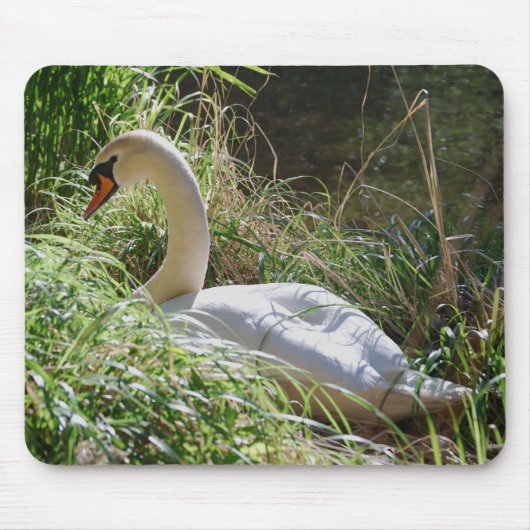 落ち着いた白鳥のマウスパッド マウスパッド (正面)