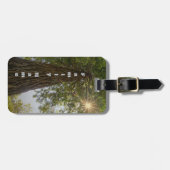 落ち着いた続編日が差すこと自然写真 ラゲッジタグ (正面横)