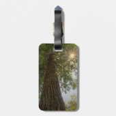 落ち着いた続編日が差すこと自然写真 ラゲッジタグ (裏面縦)