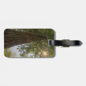 落ち着いた続編日が差すこと自然写真 ラゲッジタグ (裏面横)