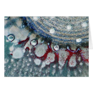 落ち着いた船員