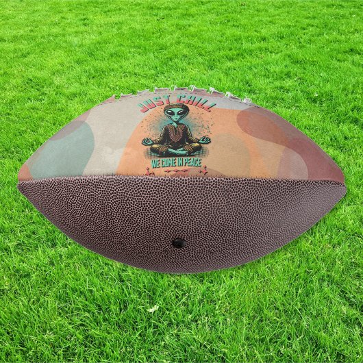 落ち着いて来いて アメリカンフットボール