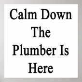 落ち着いて配管工はここにいる ポスター (正面)