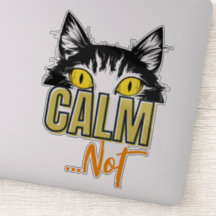 落ち着いて…ない。ネコの多くの気分