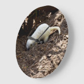 落ち着きのない空腹：白いミーアカット食事を掘る ラージ壁時計 (傾斜)