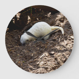 落ち着きのない空腹：白いミーアカット食事を掘る ラージ壁時計