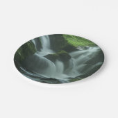 落ち着く滝 ペーパープレート (アングル)