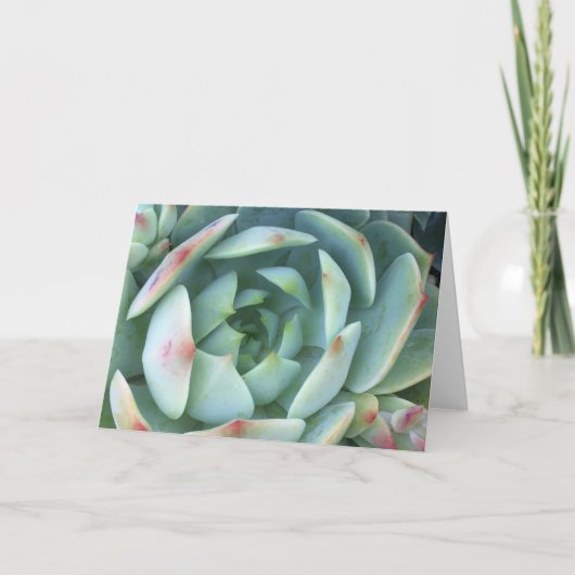 落ち着く カード (正面)