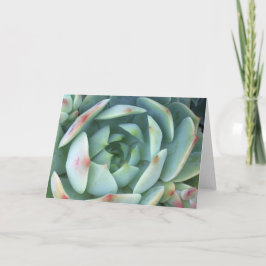 落ち着く カード