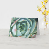 落ち着く カード (黄色い花)