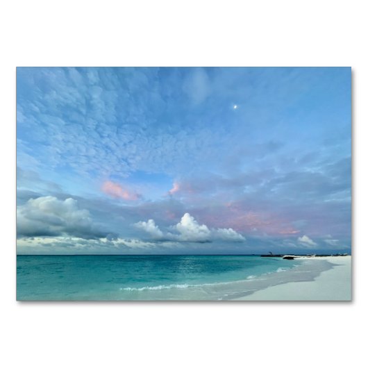 落ち着く テーブルナンバー (正面)