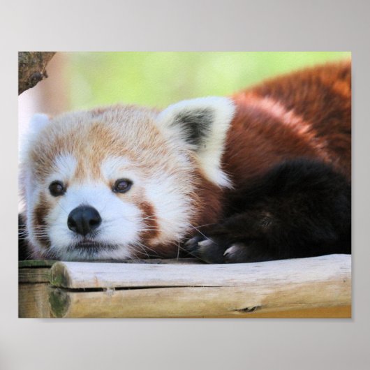 落ち着く ポスター (正面)