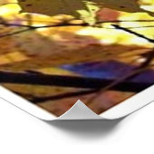 落ち葉と木々と太陽の光 ポスター (角)