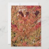 落ち葉のカラフルな空白の招待状 招待状 (裏面)