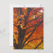 落ち葉のリハーサルディナー招待状 招待状 (裏面)