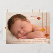 落ち葉の写真 出生発表 案内状 (正面/裏面)