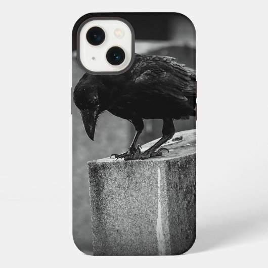 落ち葉の墓地のカラス iPhoneケース (裏面)