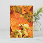 落ち葉の招待状 招待状 (スタンド正面)