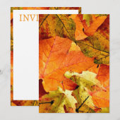 落ち葉の招待状 招待状 (正面/裏面)