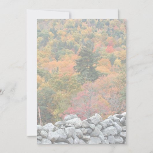 落ち葉の石垣 自然 招待状 (裏面)