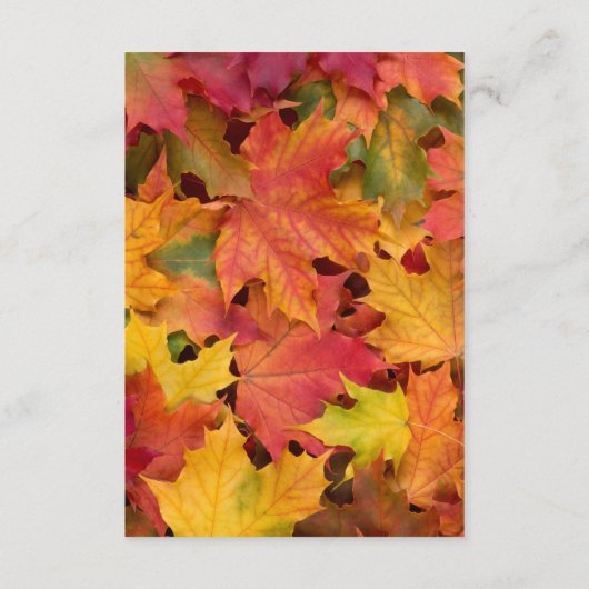 落ち葉の麻のウェディングレセプション囲い エンクロージャーカード (裏面)