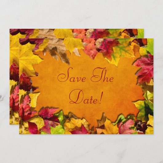 落ち葉1 招待状 (正面/裏面)