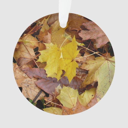 落ち葉 黄色い紅葉の自然 オーナメント (正面)